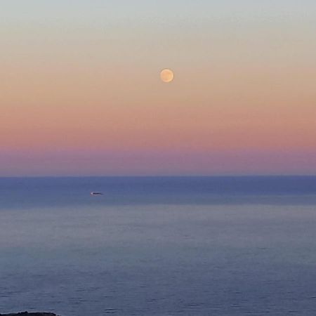 Alma De Mar Appartement Benidorm Buitenkant foto
